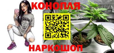 Альфа ПВП Кимры