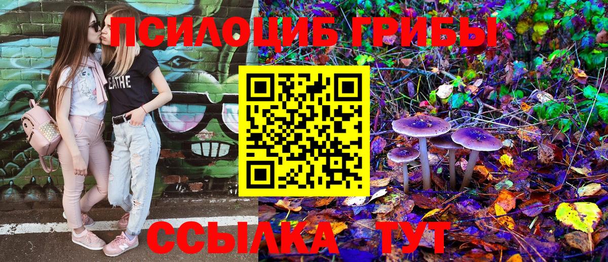 Оренбург  Псилоцибиновые грибы мухоморы  Галлюциногенные грибы MAGIC MUSHROOMS  Вход с VPN 